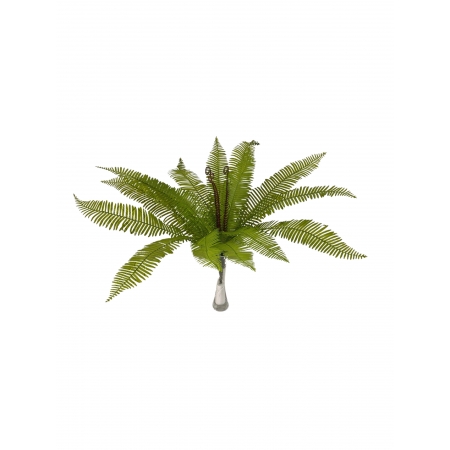 BUQUE DE SAMAMBAIA AMERICANA X 18 (M) 60CM