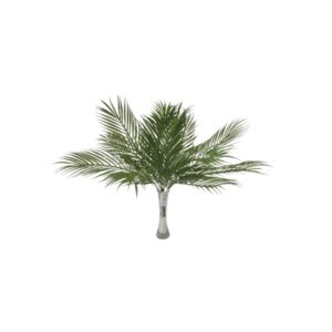 BUQUE DE PALMEIRA CYCA TOQUE REAL X 12 (M) 55CM