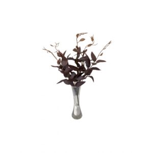MINI BUQUE DE TRAPOERABA X 5 (M) 38CM