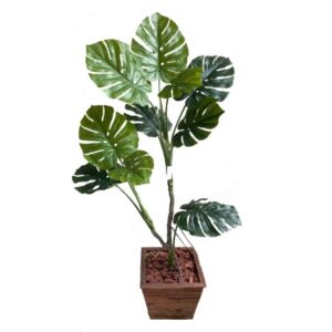 ARVORE DE COSTELA DE ADAO TOQUE NATURAL X 2 (M)