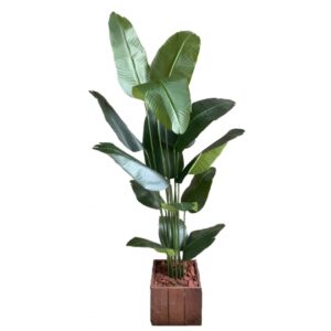 ARVORE DE BANANEIRA GRANDE TOQUE NATURAL COM BASE  X 15 (M) 1,80M