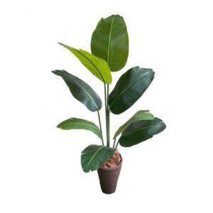 ARVORE DE BANANEIRA TOQUE NATURAL X 8 (D) 1,20M