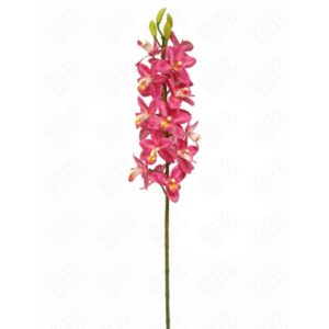 ORQUIDEA DENPHAL 3D X 20 (M) 80CM BOX POR COR