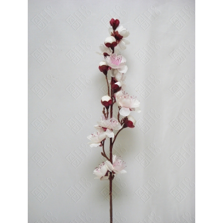 GALHO DE SAKURA (M) 75CM