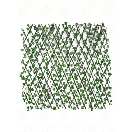 GRADIL DE FOLHAGENS DE HERA GRANDE  X 17 (M) 252X50CM