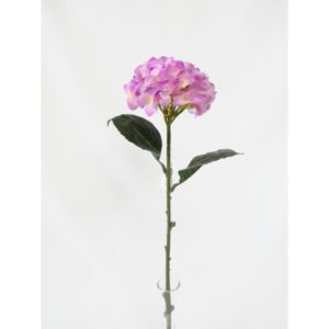 HORTENSIA TOQUE NATURAL X 1 (M) 63CM BOX POR COR
