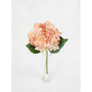 HORTENSIA X 1 (M) 35CM BOX POR COR