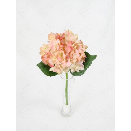 HORTENSIA X 1 (M) 35CM BOX POR COR