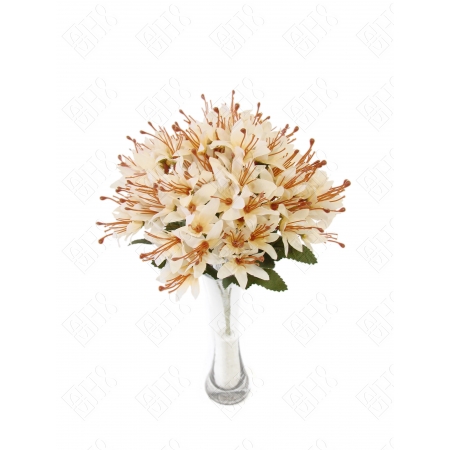 MINI BUQUE DE LIRIO X 5 (M) 28CM BOX POR COR