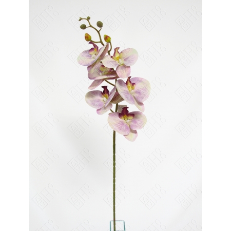 ORQUIDEA 3D LILAS X 6 (M) 90CM