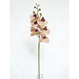 ORQUIDEA 3D STRIAE X 6 (M) 90CM
