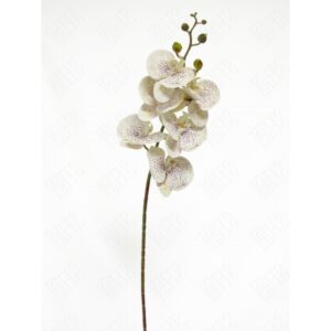 ORQUIDEA 3D POINT X 6 (M) 90CM