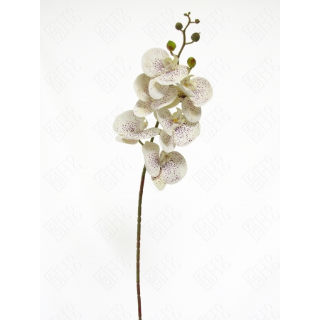 ORQUIDEA 3D POINT X 6 (M) 90CM