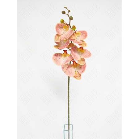ORQUIDEA 3D ROSA X 6 (M) 90CM