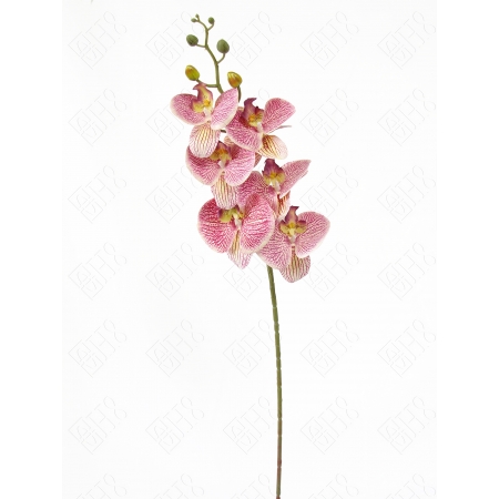 ORQUIDEA 3D PINK X 6 (M) 90CM
