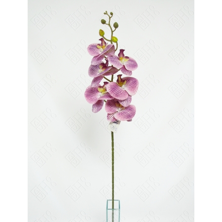 ORQUIDEA 3D ROXA X 6 (M) 90CM